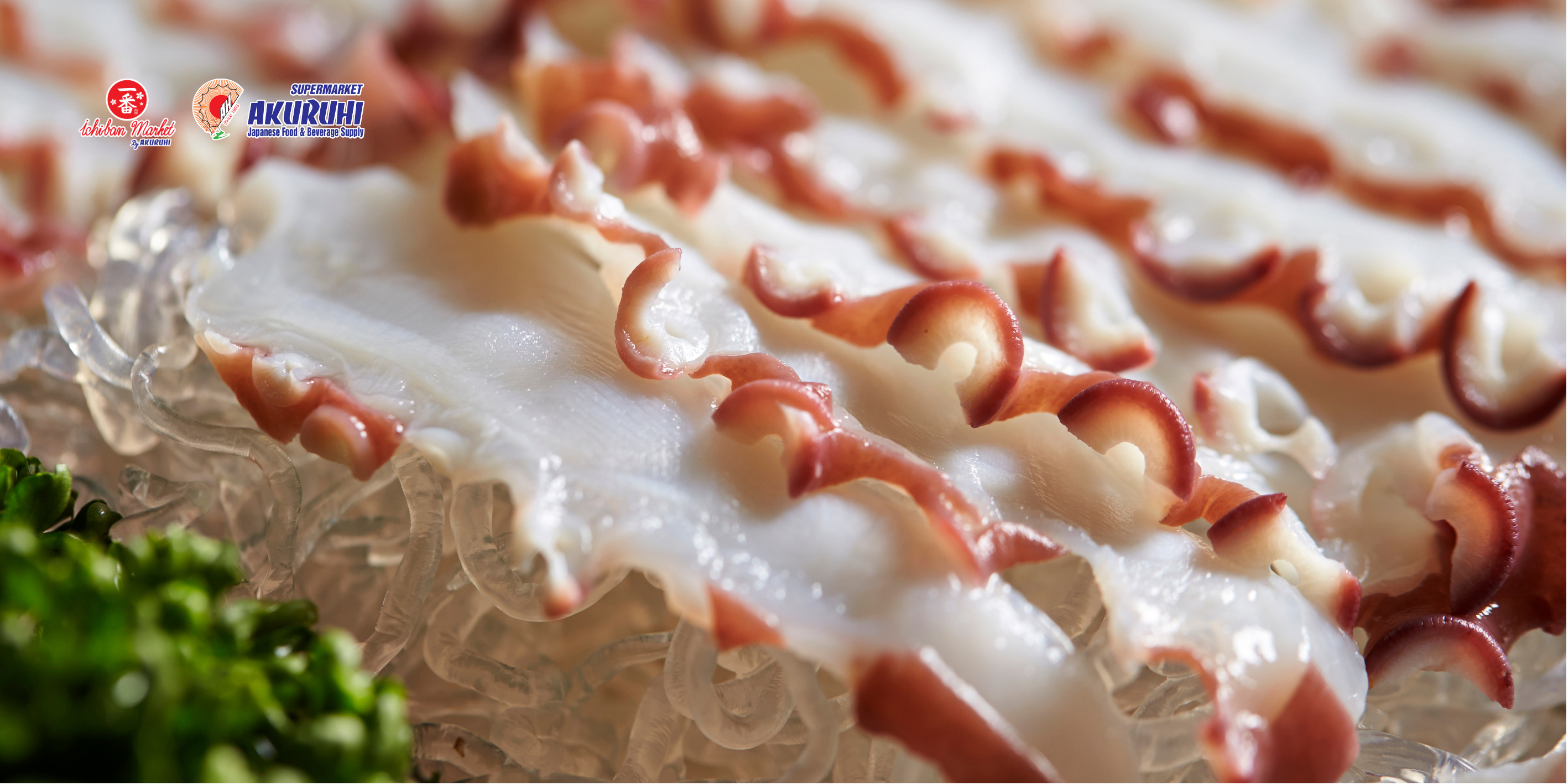 bạch tuộc đỏ nhật bản