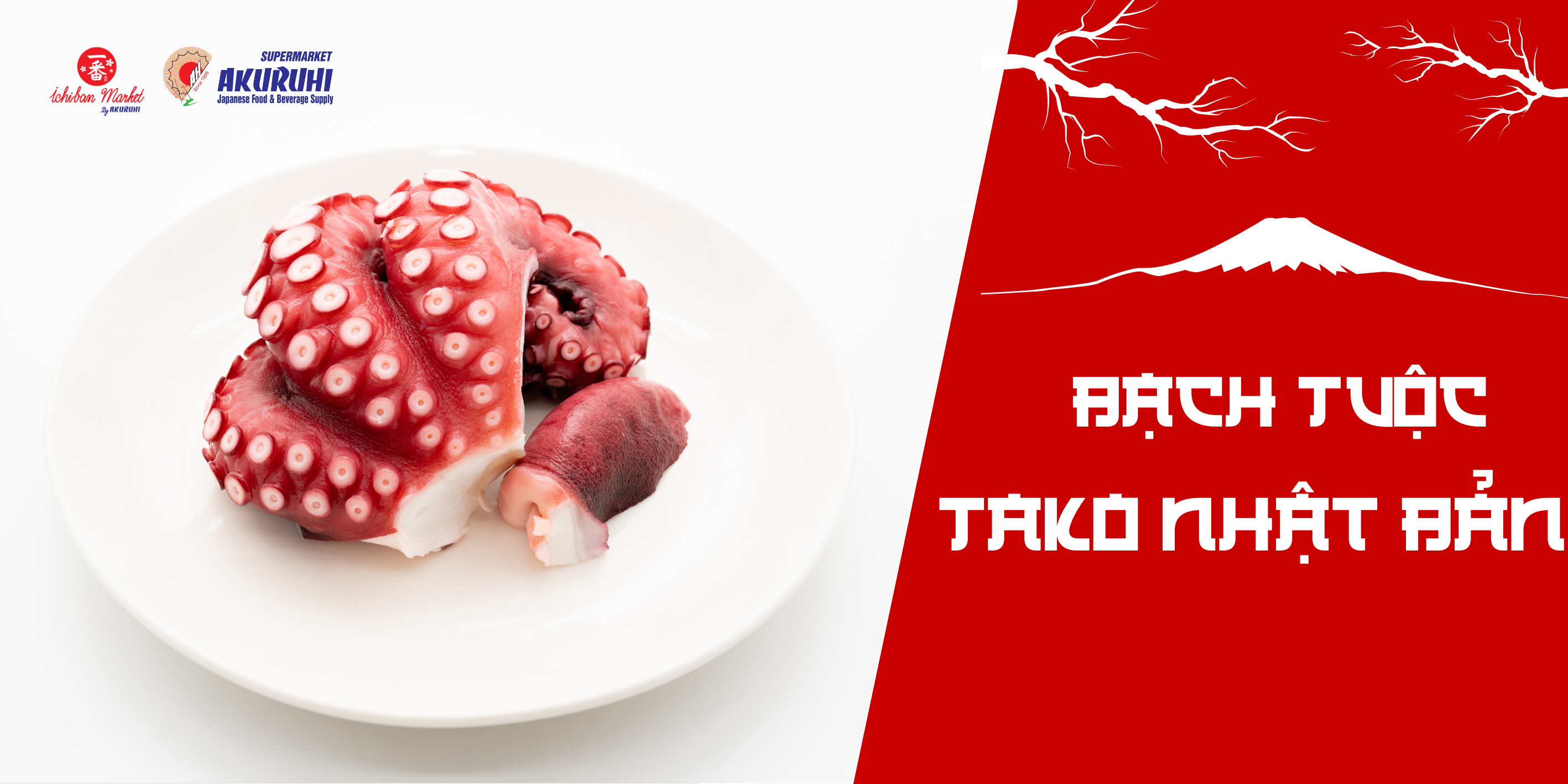 bạch tuộc tako nhật bản